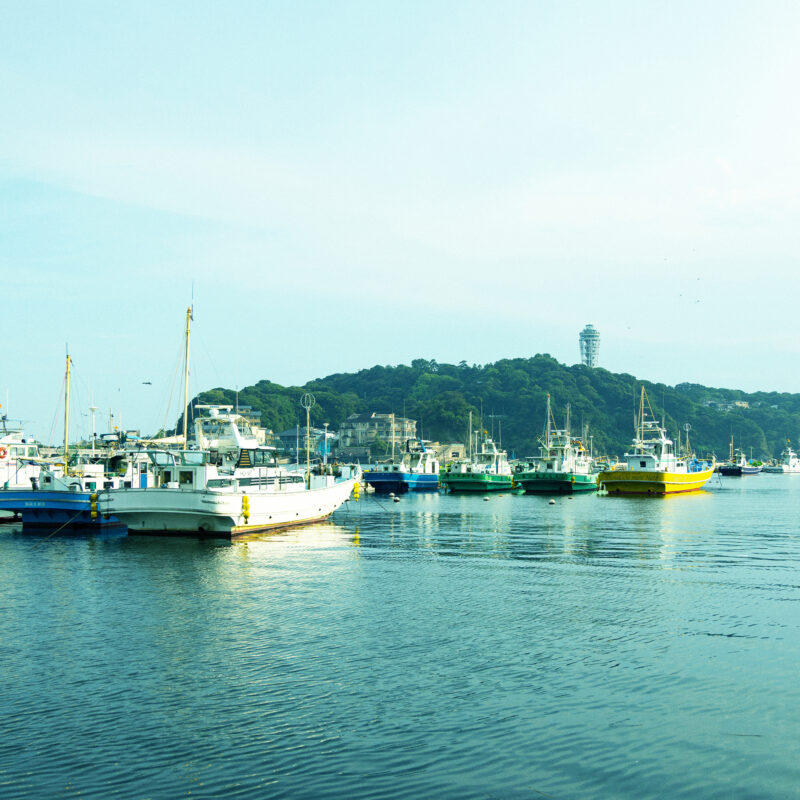 湘南片瀬漁港