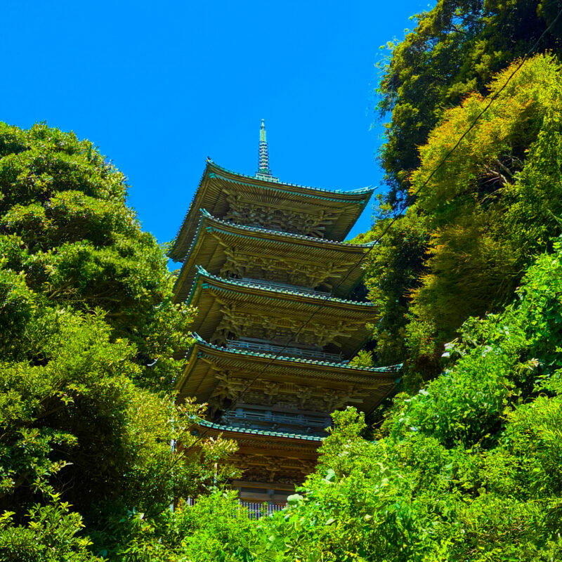 藤沢の龍口寺　